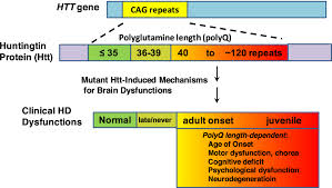 Figure 1 From Multiple Clinical Features Of Huntington S Disease Correlate With Mutant Htt Gene Cag Repeat Lengths And Neurodegeneration Semantic Scholar