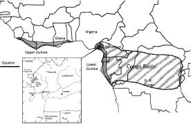 Image result for Dactyladenia gilletii