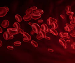 Image result for Bleeding Disorder