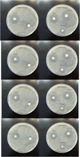 A disc of blotting paper is impregnated with a known volume and appropriate concentration of an antimicrobial, and this is placed on a plate of susceptibility testing agar uniformly. Antioxidant And Antimicrobial Activities Of Water Soluble Polysaccharide Isolated From Balangu Seed Lallemantia Royleana Gum Springerlink