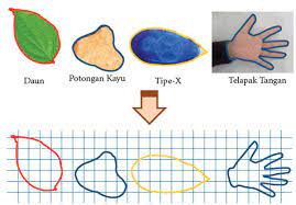 Gambar daun lemon lime draceana. Cara Menghitung Luas Daun Beraturan Dalam Matematika Mathcyber1997