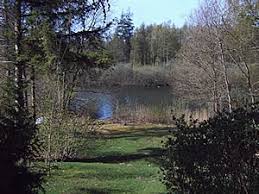 Ob camping am see, schwimmen mit dem hund oder angeln im stausee: Ruhig Gelegenes Ferienhaus Am See Mit Eigenem Steg