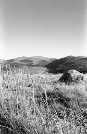Top 10 Black White Negative 35mm Film Stocks Filtergrade Film Photography 35mm Film Photography Black And White 35mm Photography