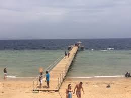 Welcome to sharming inn hotel. Nash Plyazh Kogda My Priehali Byla Dymka Poetomu Na Plyazhe Solnca Net Picture Of Sharming Inn Hotel Sharm El Sheikh Tripadvisor