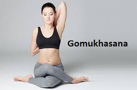 How To Do Gomukhasana Cow Face Pose Gomukhasana Benefits Precautions