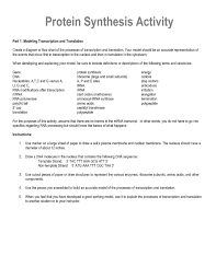 Rna and protein synthesis gizmo answer key micropoll university of utah dna to protein learn genetics. 29 Rna And Protein Synthesis Gizmo Worksheet Answers Free Worksheet Spreadsheet