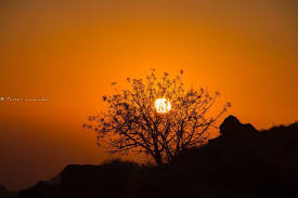 Image result for tbn:jgIyxUDlTgezJM::www.parisnajd.com/backgd/data/media/6/lakeside-1024.jpg