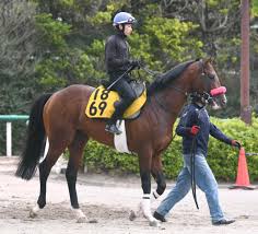 【制作陣】 原案・メインシナリオ・キャラクターデザイン：枢やな supported by square enix 開発・運営. Czvpxapwzhbasm