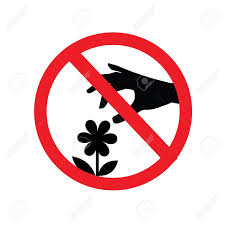 Maybe you would like to learn more about one of these? Don T Pick The Flower Sign Vector A Red Sign That Tell You Not To Pick The Flower In This Area Prohibit Sign Vector Illustration Royalty Free Cliparts Vectors And Stock Illustration Image 85476093