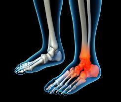 Profile for Dr. Anthony Weinert