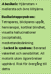 Ischemisk Stroke Symptom Neurologi