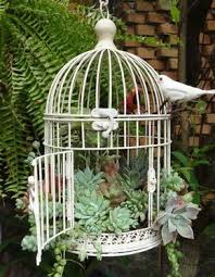 Hanging Bird Cage Decor Ideas 20 Best Decoration Ideas With Birdcage Planters Birdcage Planter Bird Cage Decor Garden Projects