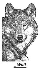 Hard wolf pictures to draw. Howling Wolves Draw Crowds To Yellowstone To Follow The Packs Wsj