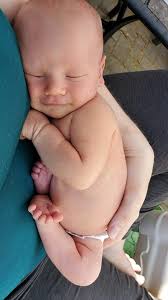 Anyone know of anyone who needs newborn photos done ?? I need examples of  newborn photography for my website!