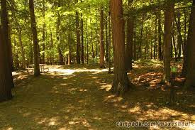 Shaul state park route 30, fultonham, ny 12071 legend basketball court comfort station firewood sales fishing access gate hand launch hiking trailhead ice machine information kiosk lending library maintenance garage max v. Max V Shaul State Park Campsite Photos