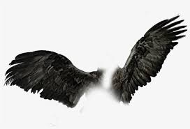 Black And White Angel Wings Png Dark Wings Png Black Wings Pngs Wings Png For Picsart Free Transparent Png Download Pngkey V 2020 G