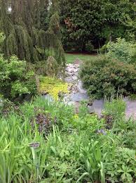 We did not find results for: Webinar Why Rain Gardens Fail And Tools For Success Ecological Landscape Alliance