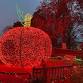 Winter Lights – Adult Nights Out event image