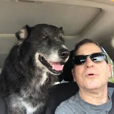 TOP 10 BEST Veterinary Care in Sarasota, FL