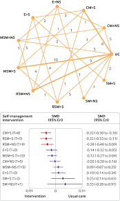 Love cupcakes, laughter, whisky and waterfalls. Self Management Interventions To Reduce Healthcare Use And Improve Quality Of Life Among Patients With Asthma Systematic Review And Network Meta Analysis The Bmj