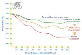 نتیجه جستجوی لغت [acclimatized] در گوگل