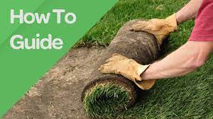 Apply the chemicals over the entire lawn using a garden sprayer and garden hose, then. Unsure How To Lay Turf Use This Simple Laying Guide Online Turf