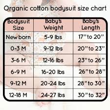 Birdrock Baby Organic Cotton Bodysuit Onesie For Newborn And Infant Girls And Boys