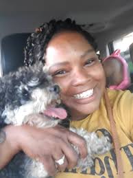 Lost dog in Yuma near Del Pueblo RV Resort