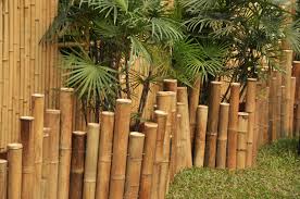 Backyard japanese garden ideas with bamboo tea this particular information and photos backyard bamboo garden ideas posted by darra at september, 15 2018. 21 Bamboo Fence Ideas For Residential Houses Home Stratosphere