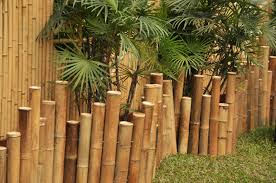 Bamboo fences, bamboo fences california bamboo fences orange county, bamboo fences los angeles, rolled bamboo fences, split bamboo fences, bamboo privacy fences fake bamboo fence on the edge of the future japanese garden in omaha's lauritzen gardens. 21 Bamboo Fence Ideas For Residential Houses