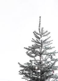 Black And White Christmas Wallpaper Happy Holidays Christmas Tree Wallpaper Iphone Wallpaper Iphone Christmas Christmas Tree Wallpaper