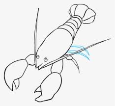 Check spelling or type a new query. Homarus Cartoon Lobster Roll Drawing Animated Lobster Transparent Background Hd Png Download Transparent Png Image Pngitem