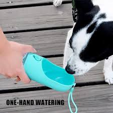 Join facebook to connect with pets rus and others you may know. Pet Supplies Cool Pets R Us Cool Pets R Us