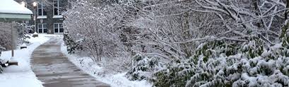 High tides and low tides, surf reports, sun and moon rising and setting times, lunar phase, fish activity and weather conditions in halifax. Weather Centre Mount Saint Vincent University Halifax Ns