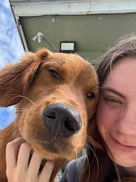 Pet sitting services in St George South Carolina