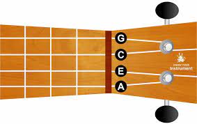 Then try to type the name of the object into the. Ukulele String Names Know Your Instrument
