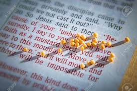 Download Mustard Seeds On A Open Bible Page Illustrating The Verse If Stock Photo Picture And Royalty Free Image Image 74173638