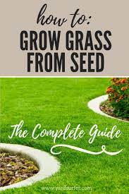 How To Grow Grass From Seed The Best Way Growing Grass Growing Grass From Seed Planting Grass