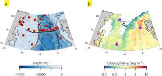 The Influence Of Arctic Fe And Atlantic Fixed N On Summertime Primary Production In Fram Strait North Greenland Sea Scientific Reports
