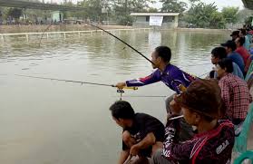 Telaga Aster Awal Buka Gt Mas 2017 Dirubah Jadi Gt Lele 82 Lapak Kabar Mancing