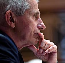 Fauci then changed his tune and launched a public relations campaign huddling closer to trump. G2i7ktc8klugzm