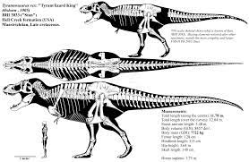Tyrannosaurus Rex Skeletal Diagram Bhi 3033 By Franoys Tyrannosaurus Skeletal Dinosaur Art