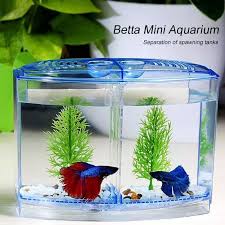 Live food is preferably fed to these fishes when they. Betta Fish Tank Partition Spawning Fish Tank Goldfish Diy Shrimp Odorless Spawning Box Fishbowl Water Grass Environmental Aquariums Tanks Aliexpress