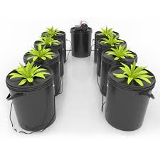 China Dwc Hydroponic Bucket System Archibald Grow Factory And Manufacturers Archibald