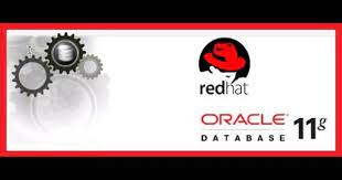 How To Install Oracle 11g On Red Hat Enterprise Linux 6 0 Red Hat Enterprise Linux Red Hats Linux