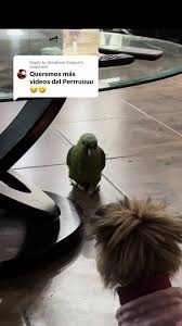 Comedic Skit: What If It Rained?