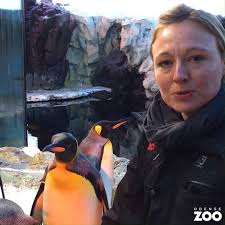 Adventskonkurrence: Hvor mange tons fisk bestiller vi om året?