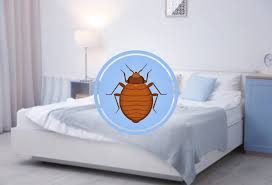 Finding and eliminating entry points can keep the small intruders from reinfesting your home. Taking The Stress Out Of Having Bed Bugs Doug The Bug Termite Pest Control And Do It Yourself Pest Control Store Clearwater Fl Exterminator