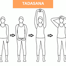 Tadasana Mountain Pose Palm Tree Pose Mountain Pose Yoga Mountain Pose Tree Pose