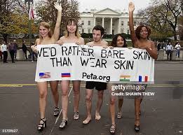 Image result for peta protests